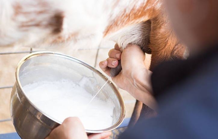 Leche de cabra