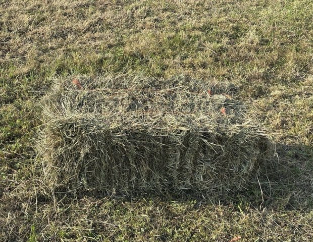 Fardos de hierba  - imagen 1