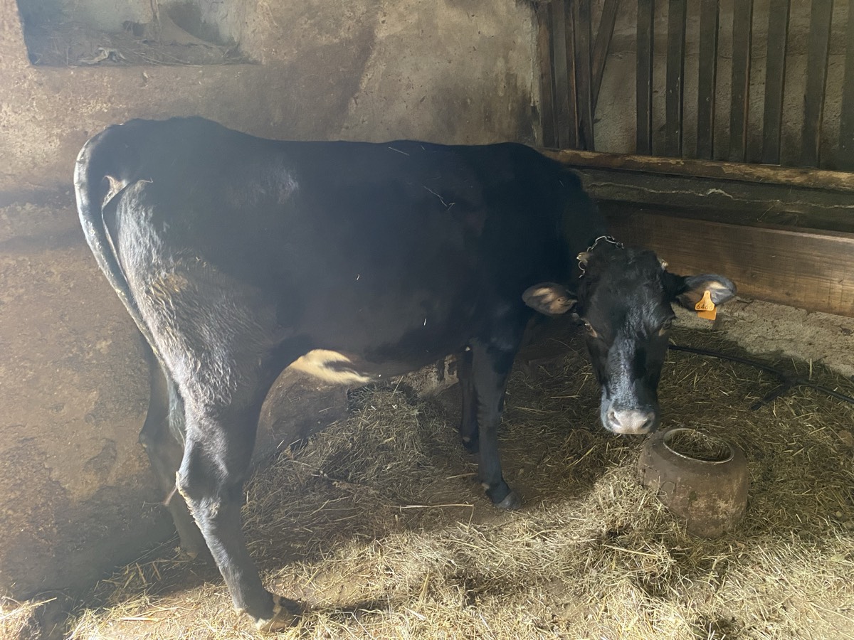 Se vende nuvilla  - imagen 1