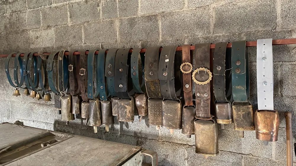 Lote cencerros - imagen 1