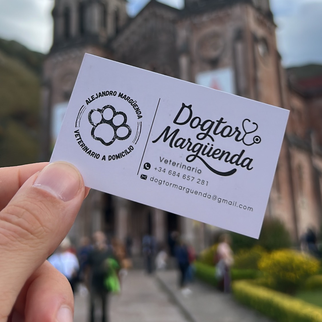 Veterinario a domicilio - imagen 1