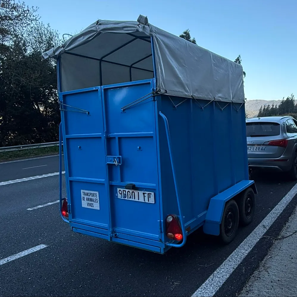 Remolque ganadero o de caballos - imagen 1