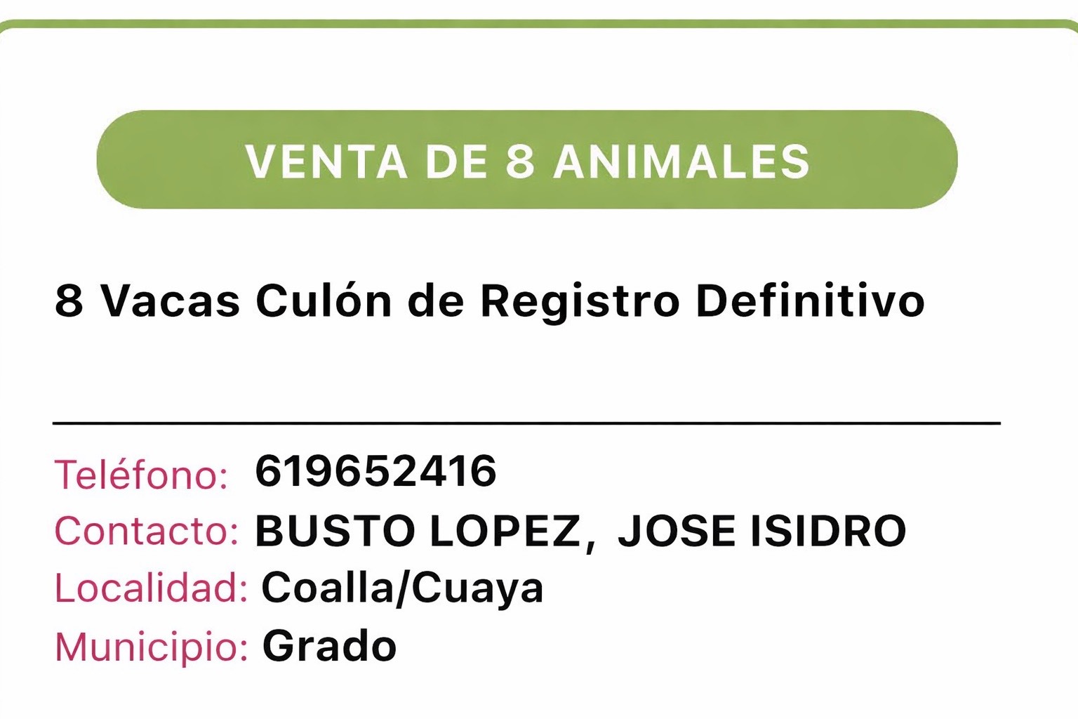 Vacas asturianas de los valles - imagen 1