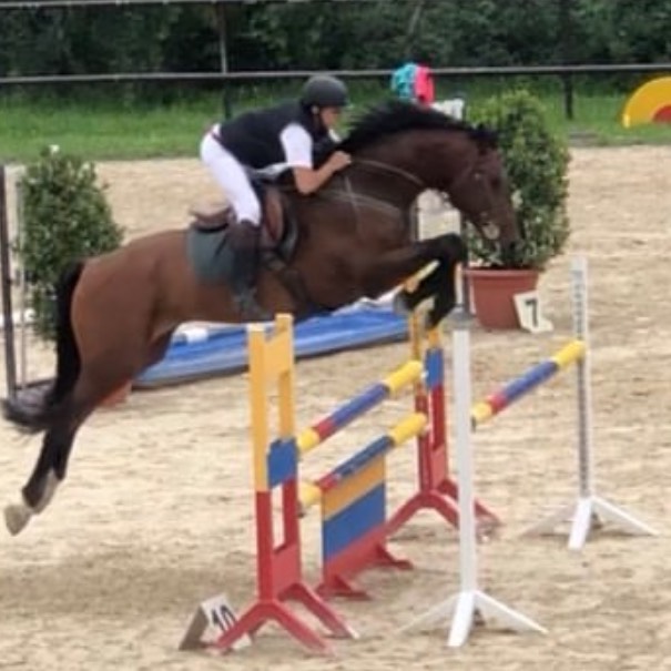 Doma y desbrave  - imagen 1