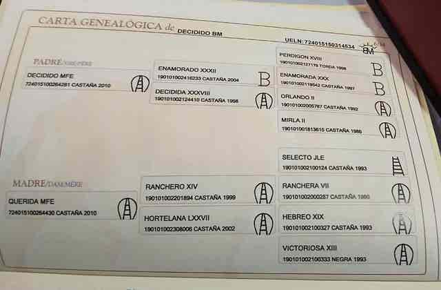 Semental PRE de Escalera para Cubriciones - imagen 1