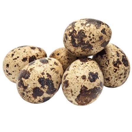 Huevos fertiles codornices ponedoras - imagen 1