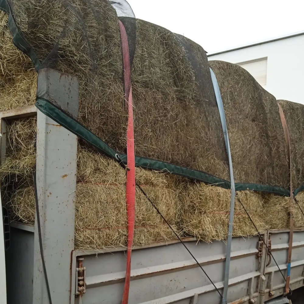 Pacas de hierba 2025 - imagen 1