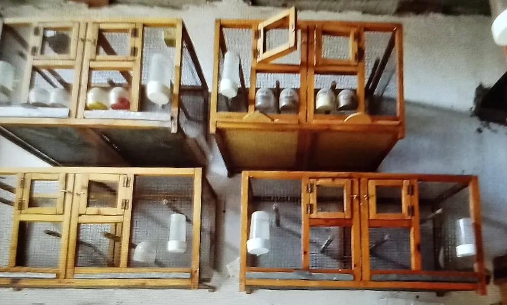 Jaulas de madera  - imagen 1