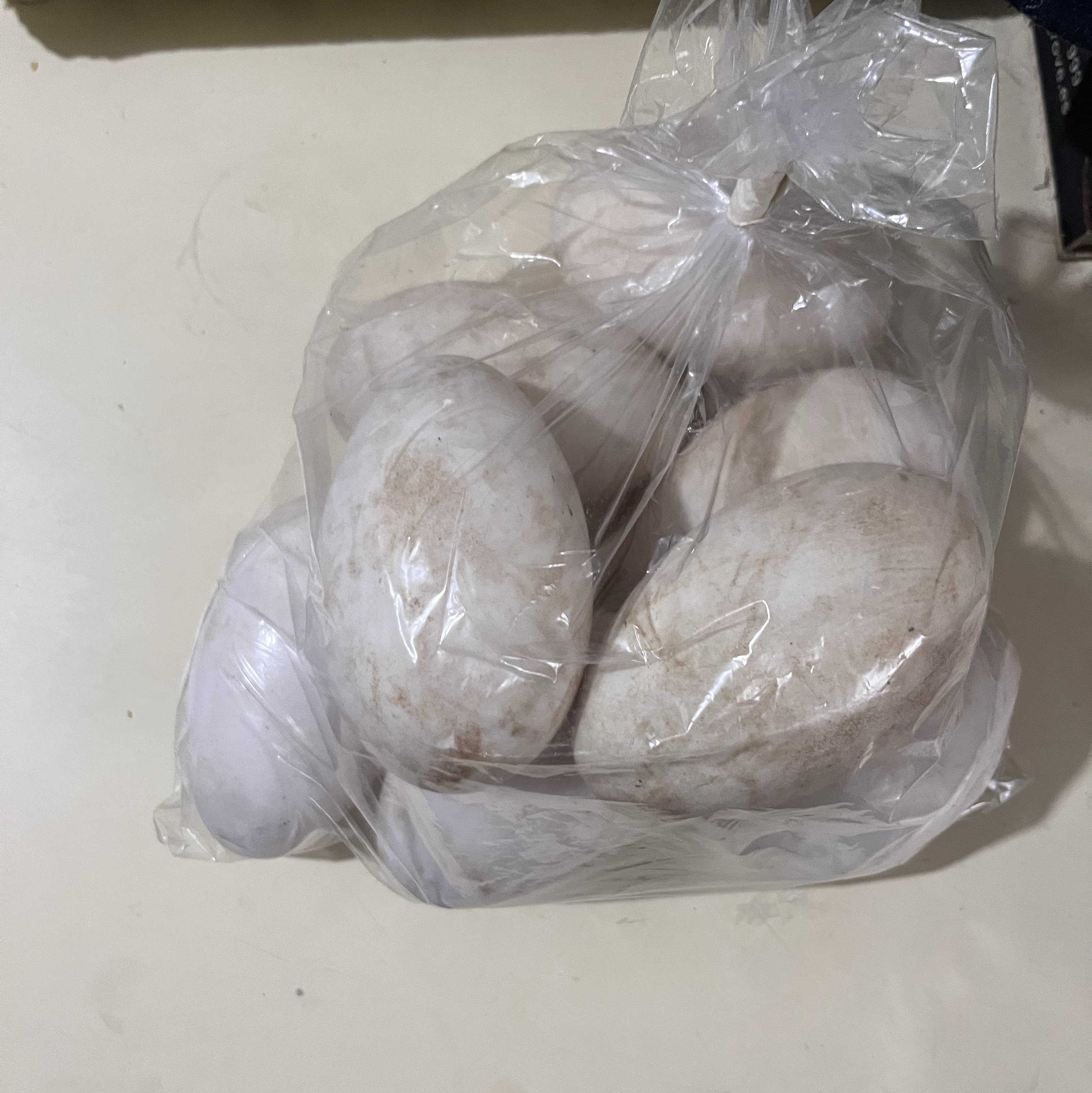 Huevos de oca toulouse - imagen 1