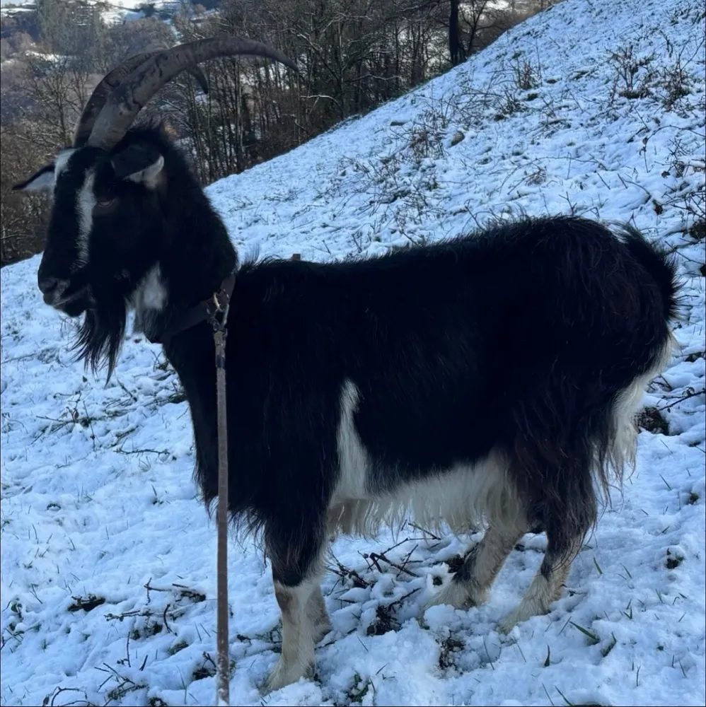 Se venden más información al privado solo atiendo llamadas