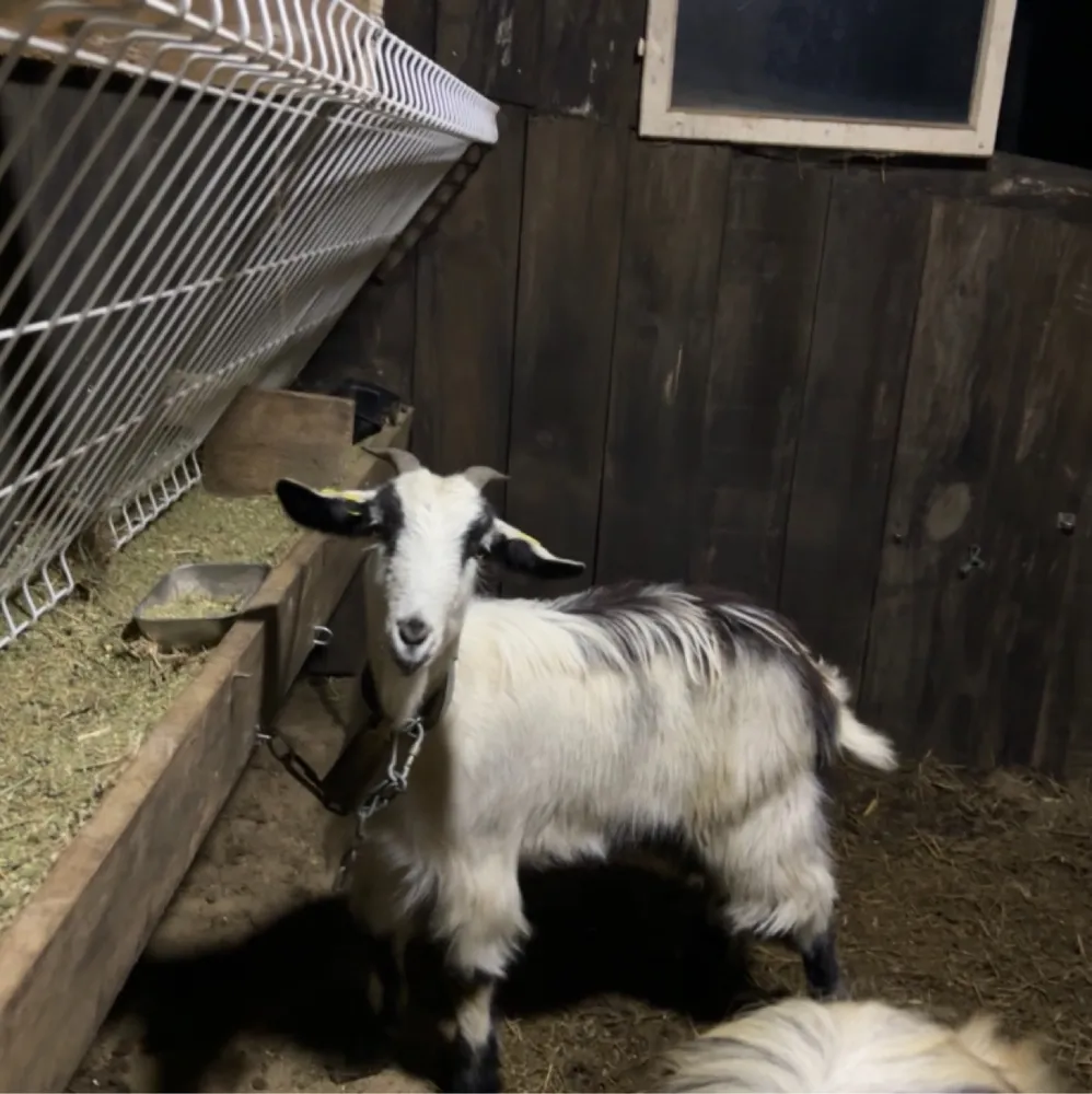 Se venden más información al privado solo atiendo llamadas