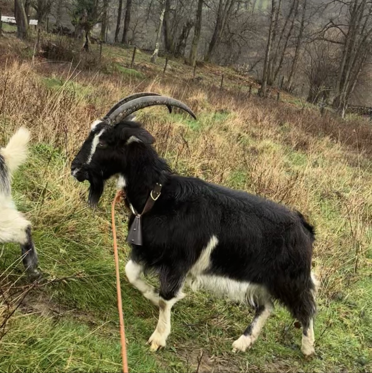 Se vende más información al privado   - imagen 1