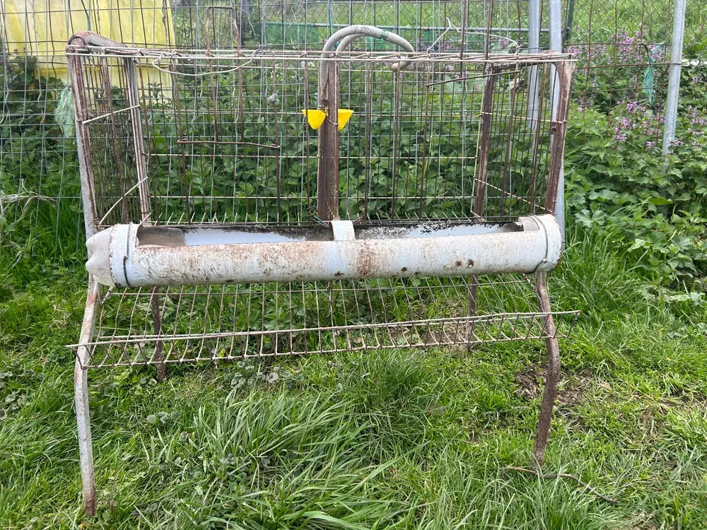 Jaula de gallinas - imagen 1