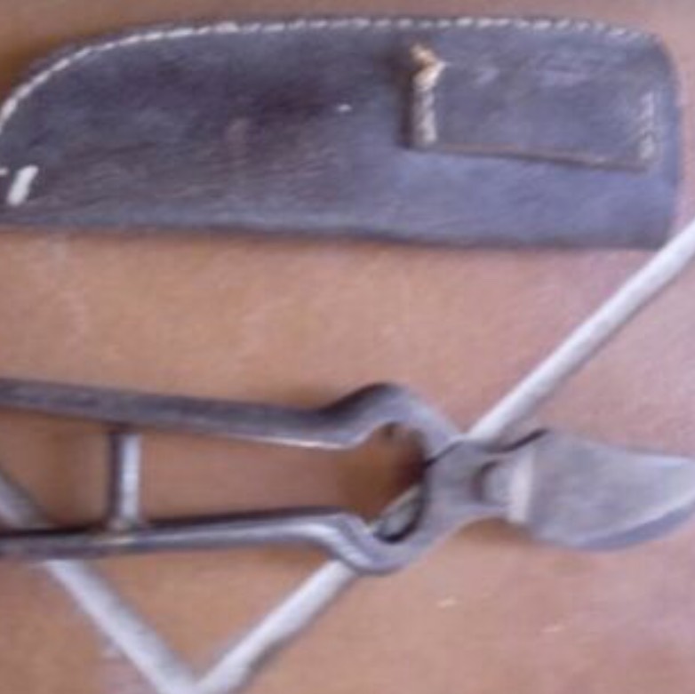 Tijeras de podar con funda - imagen 1