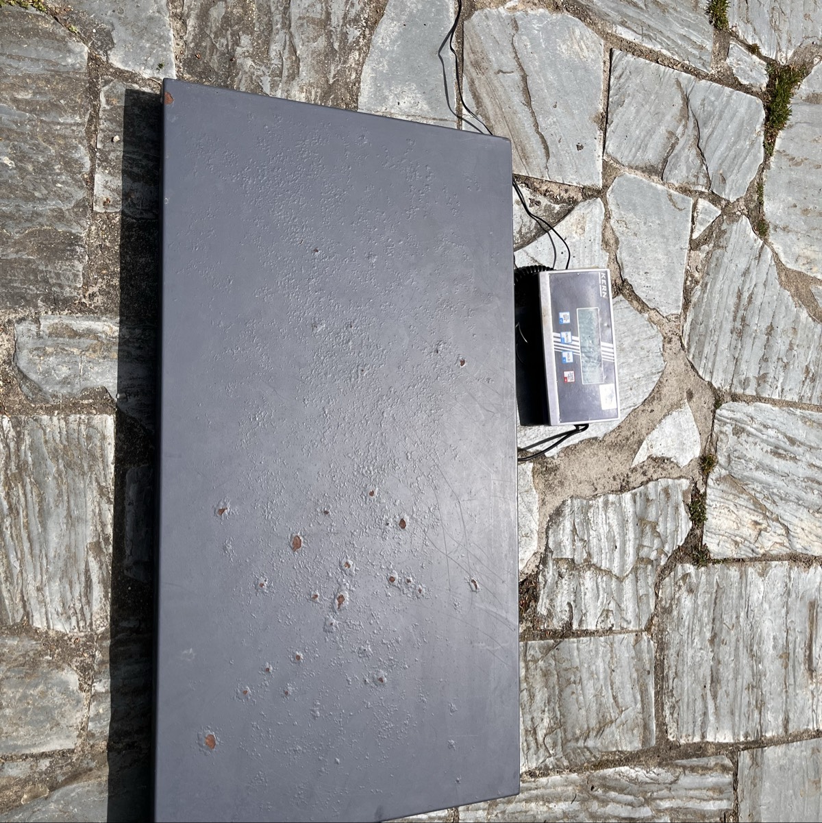 Báscula para animales 