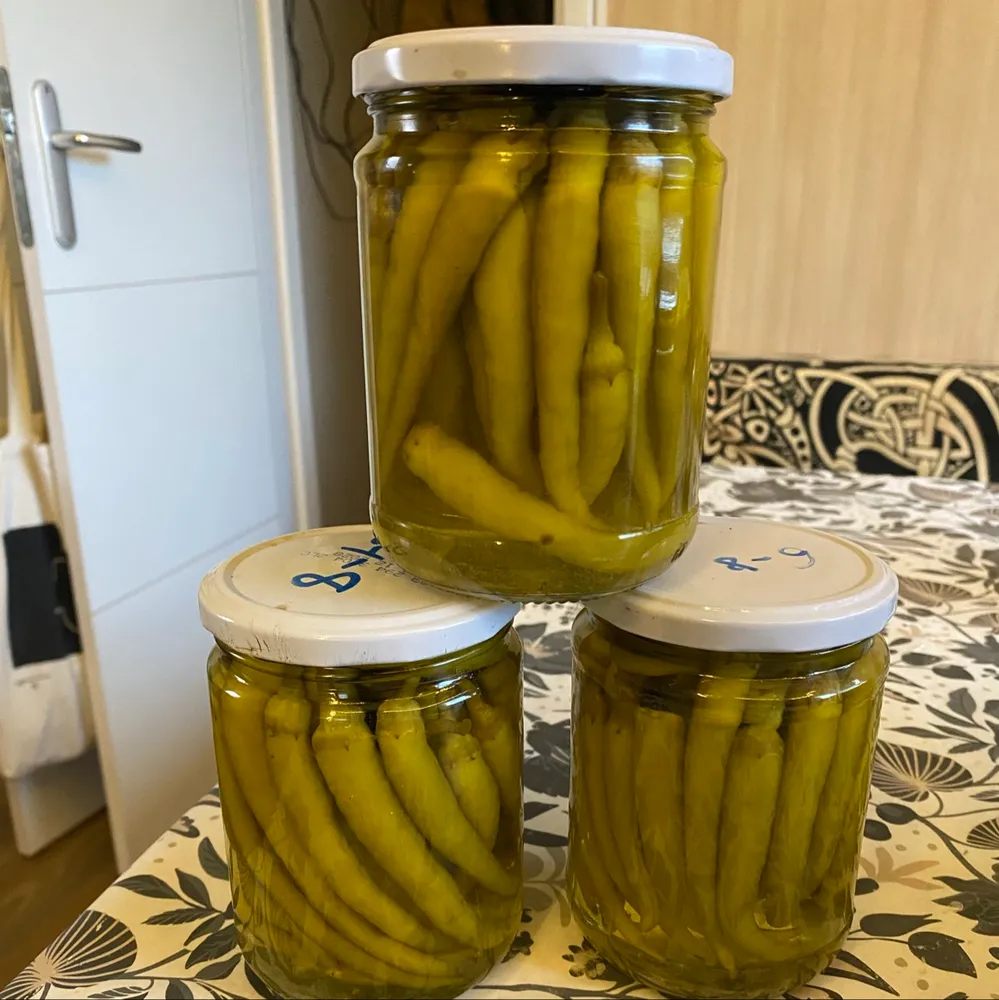 Guindilla o piparra - imagen 1