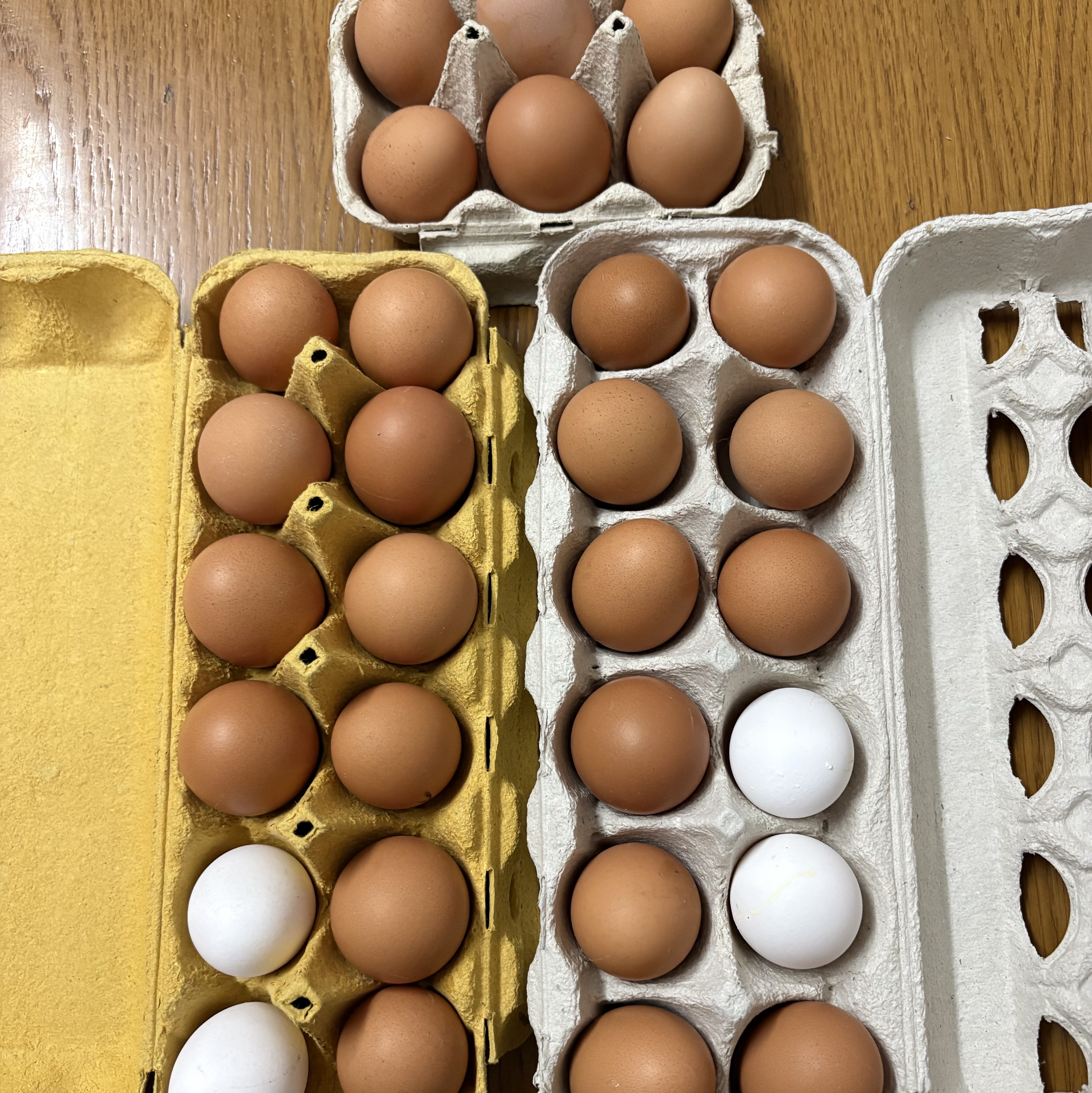 Huevos de casa - imagen 1