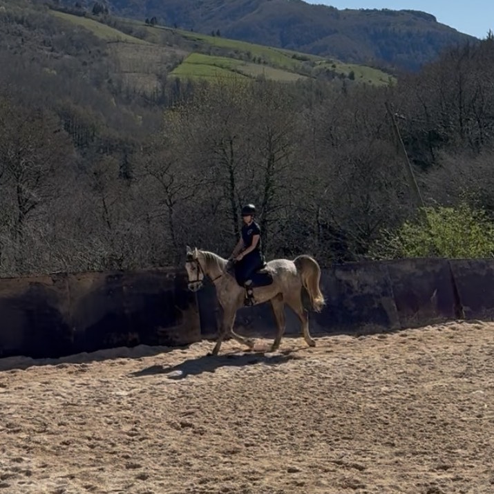 Pura raza arabe - imagen 1