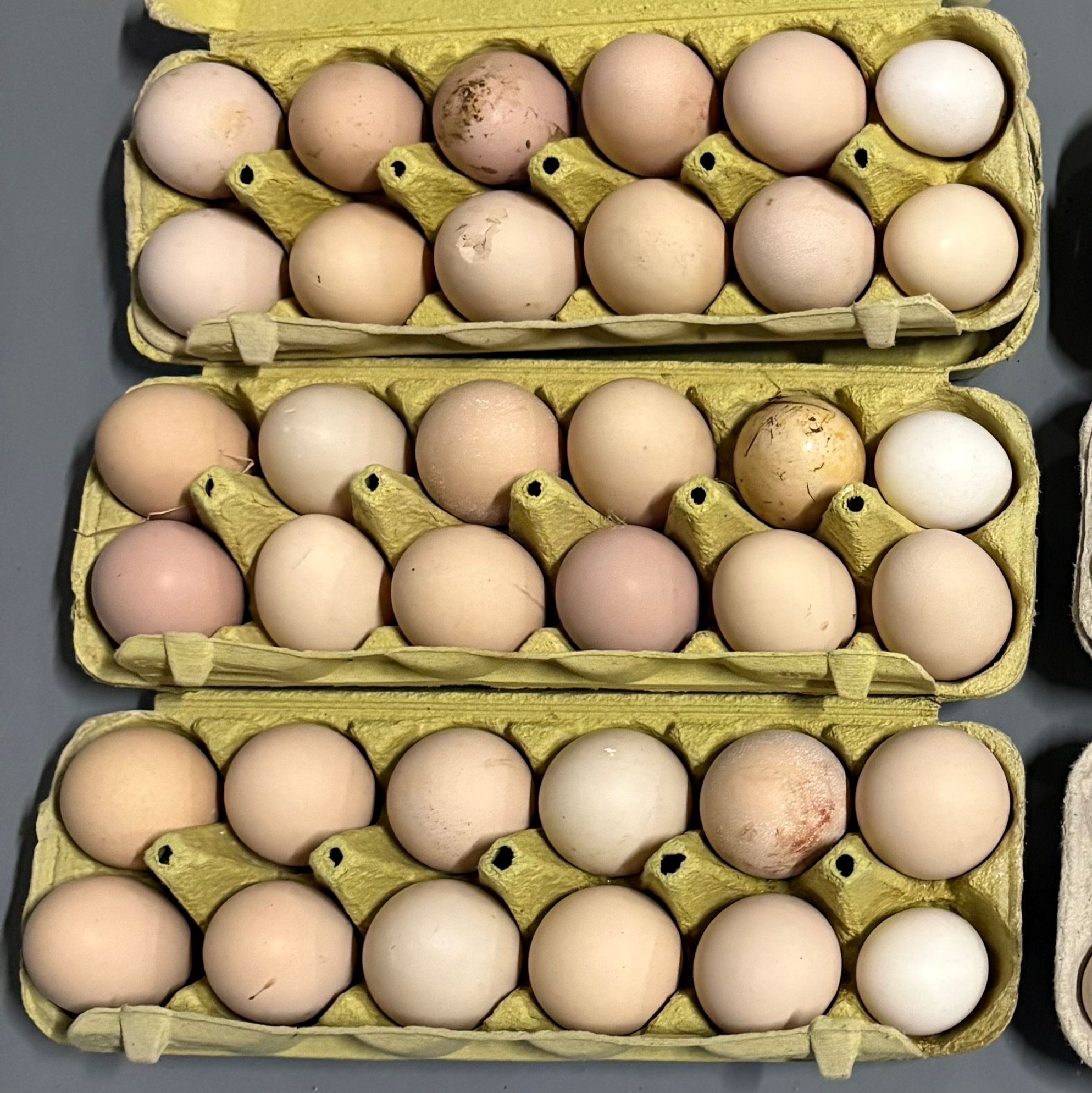 huevos de casa - imagen 1