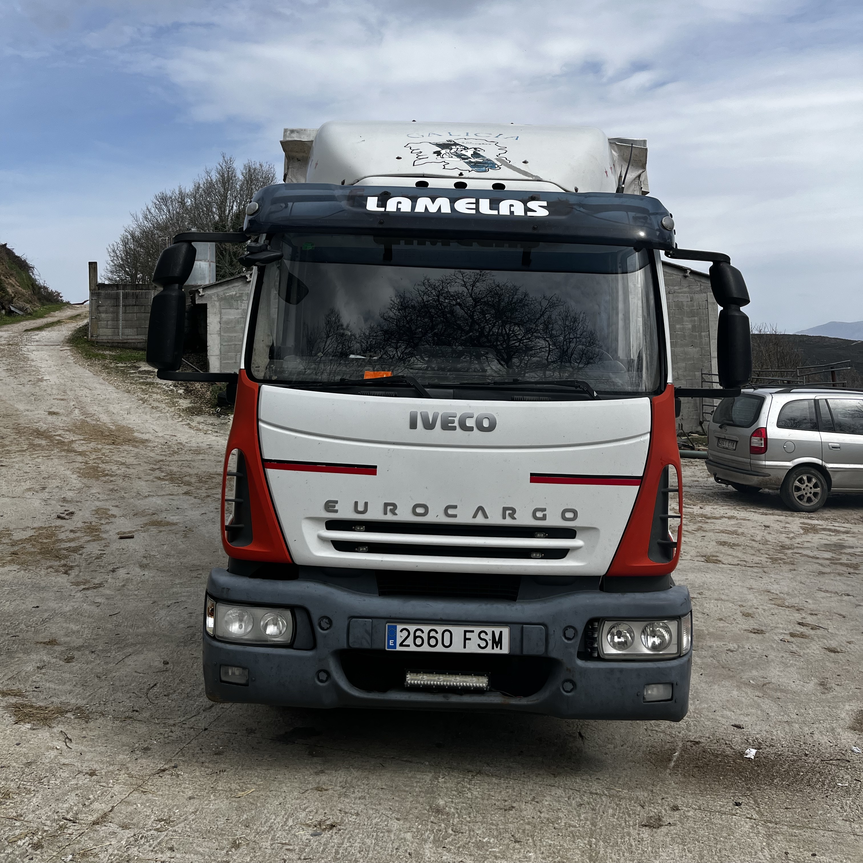 Se vende camion ganadero 