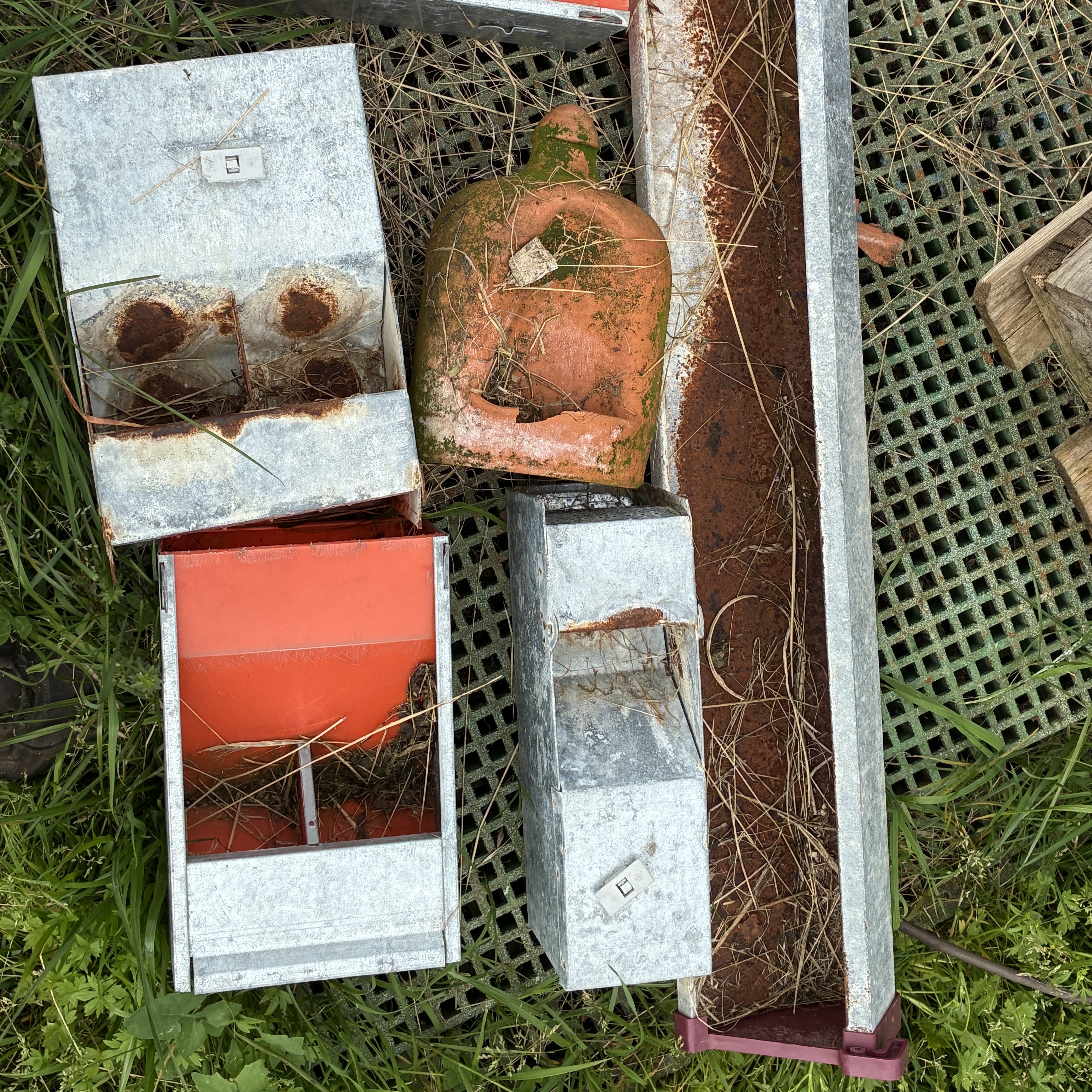 Comederos y bebederos conejos y gallinas  - imagen 1