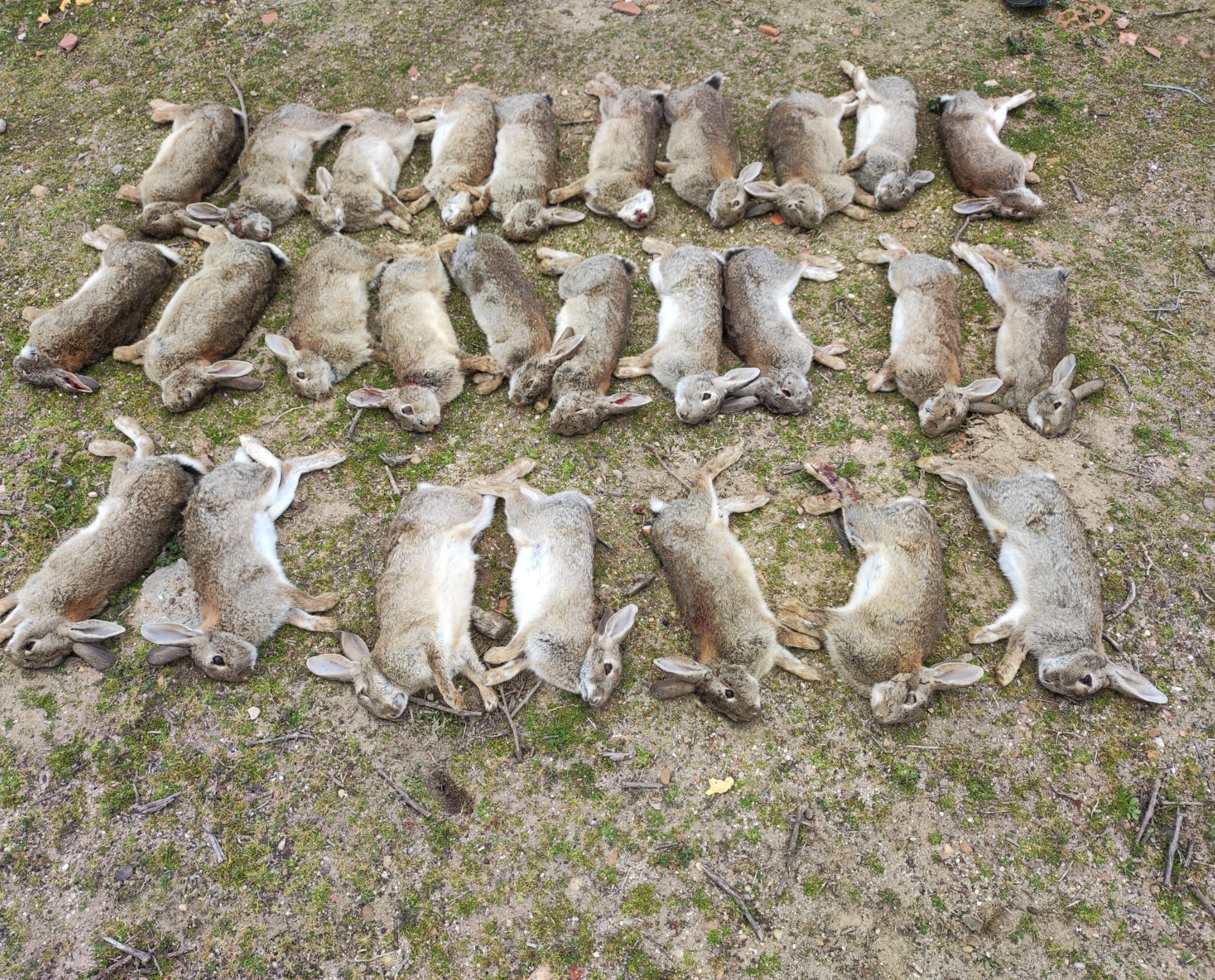 Controles Cinegéticos  - imagen 1