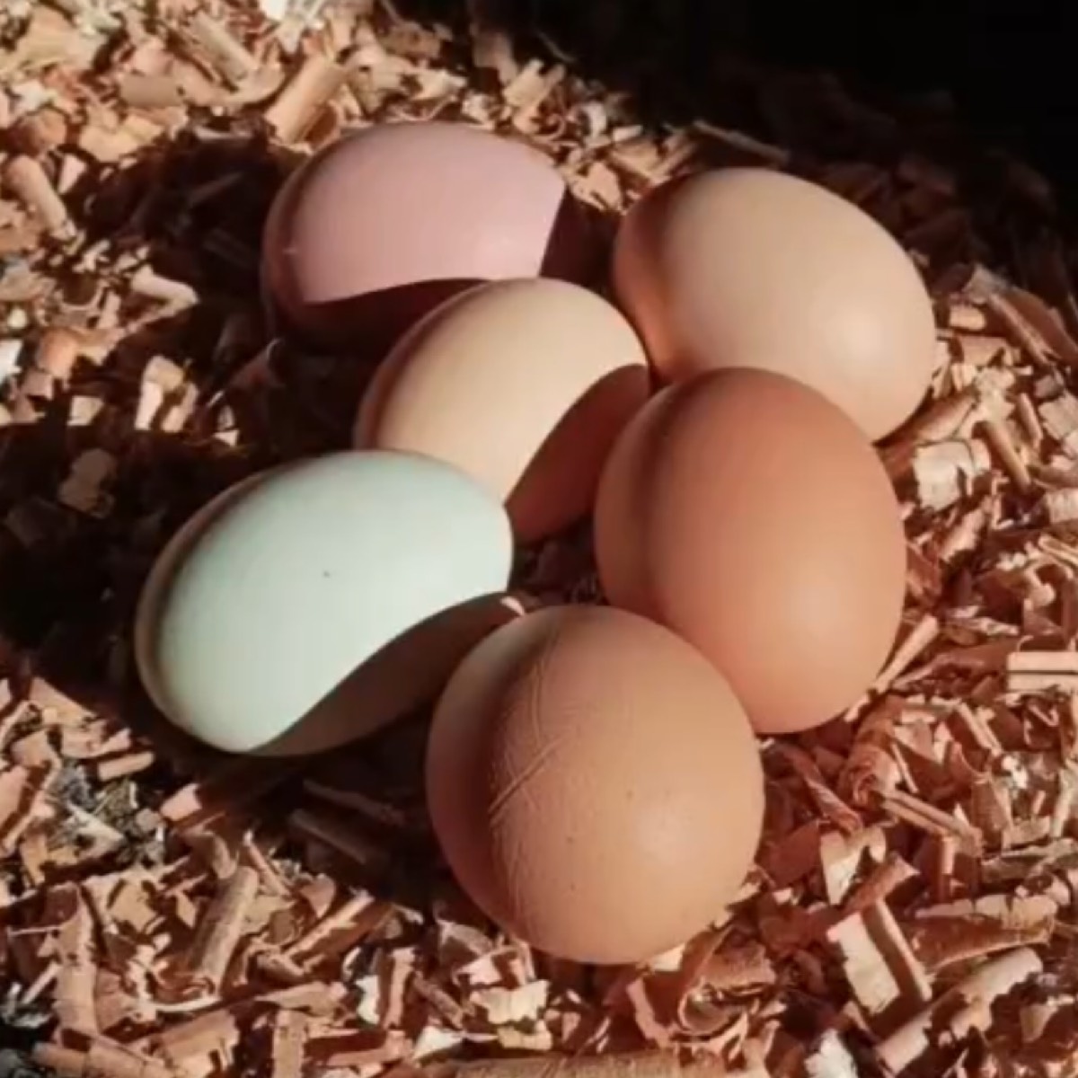 HUEVOS CAMPEROS CASEROS - imagen 1