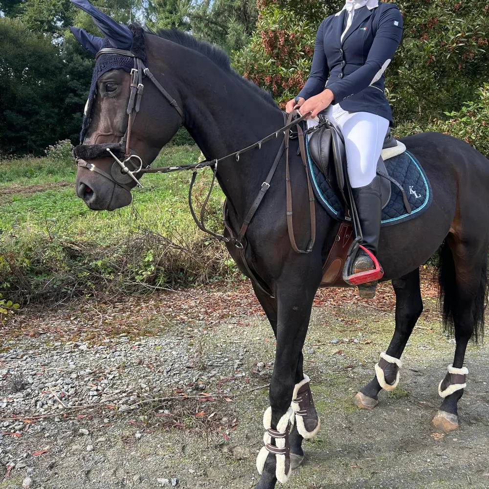 Caballo Salto PSI - imagen 1