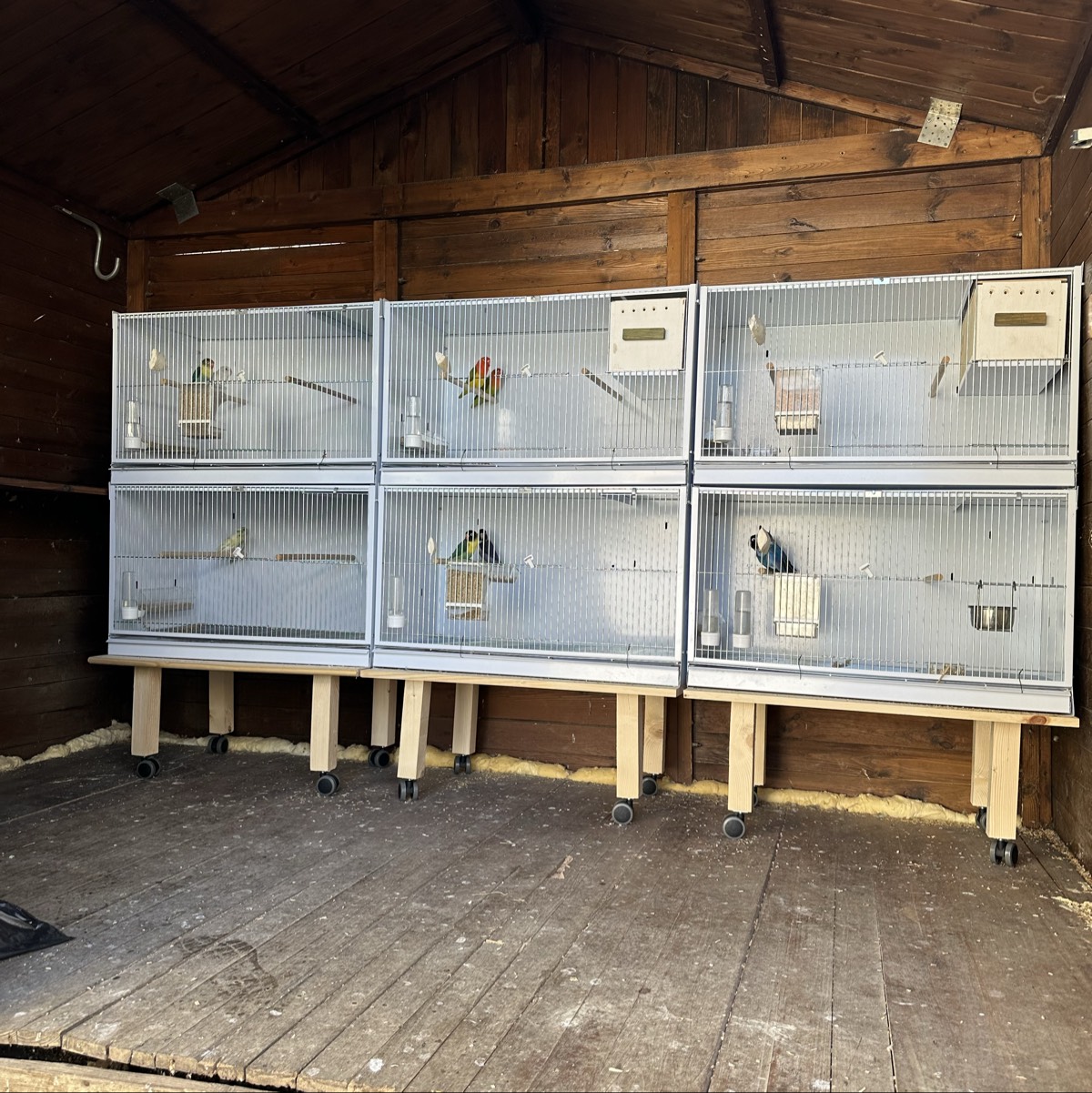 Módulos de cría Imor de chapa