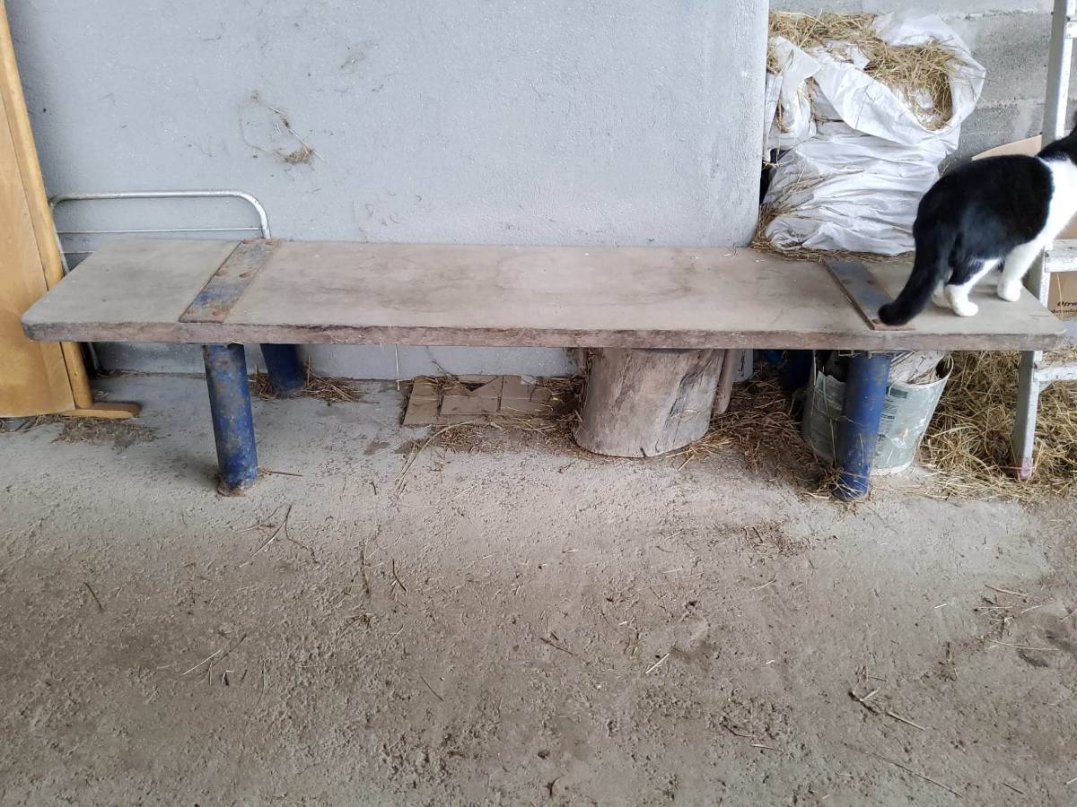 Vendo banco de matar cerdos - imagen 1