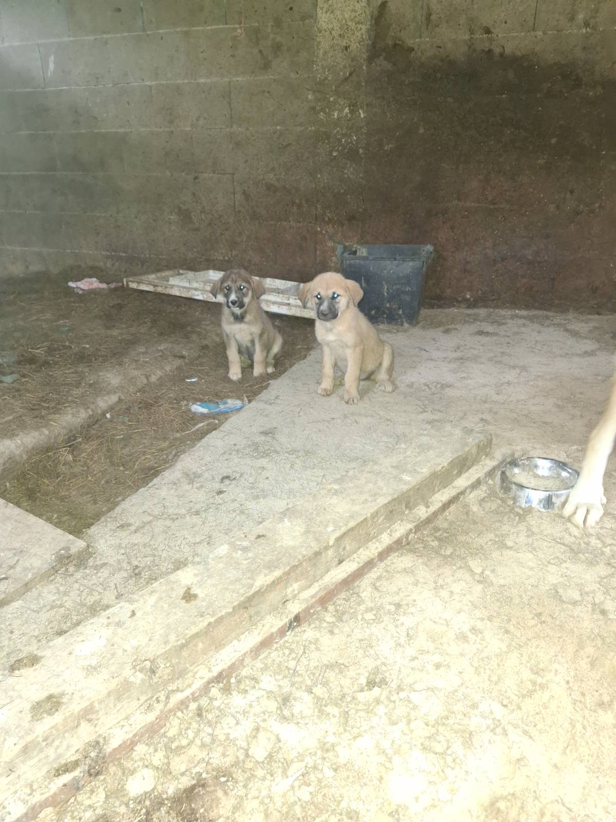 disponibles - imagen 1