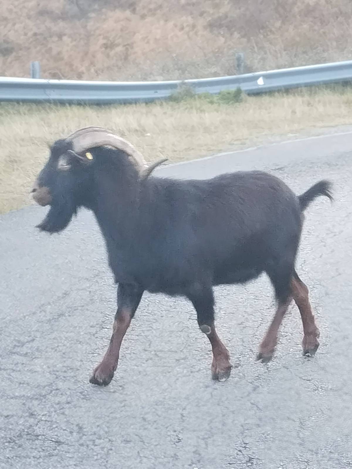 disponible - imagen 1