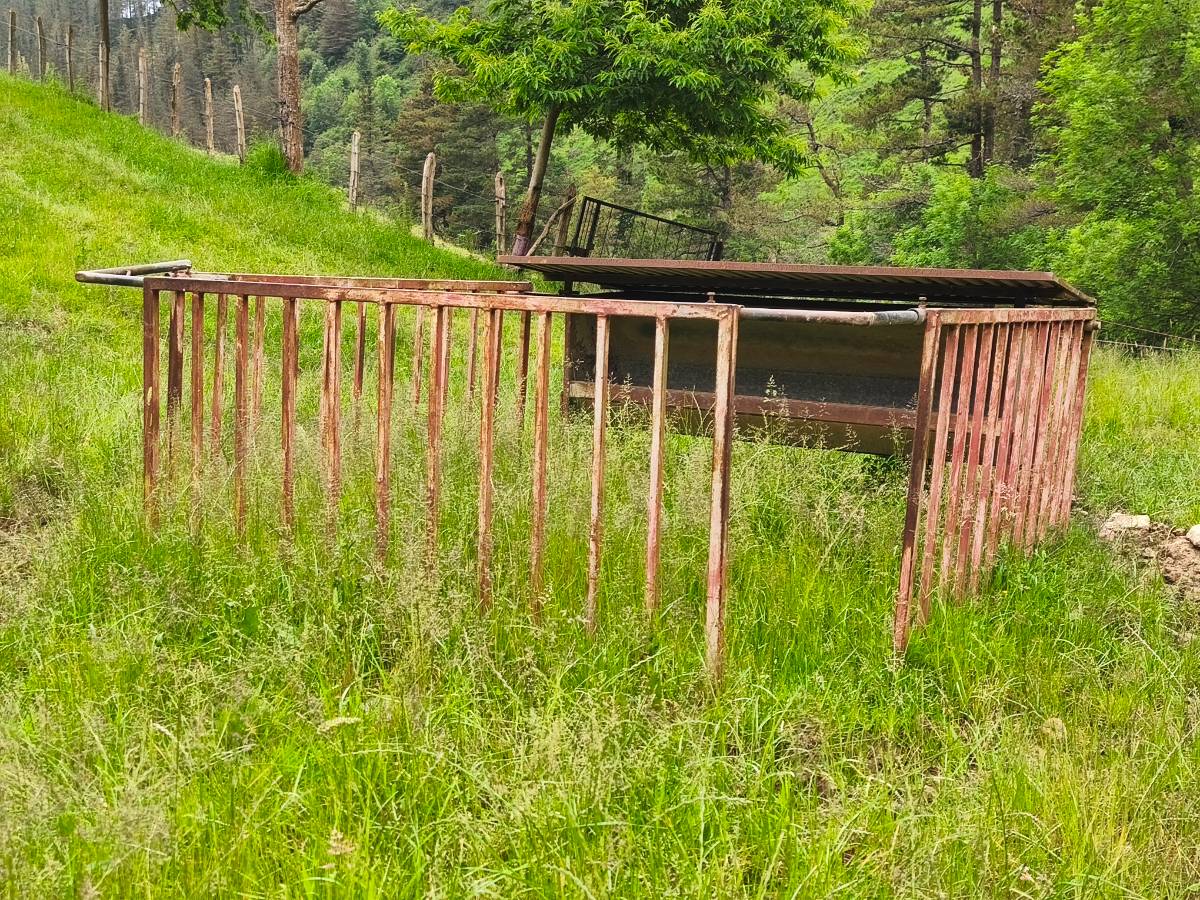 Tolva para terneros  - imagen 1