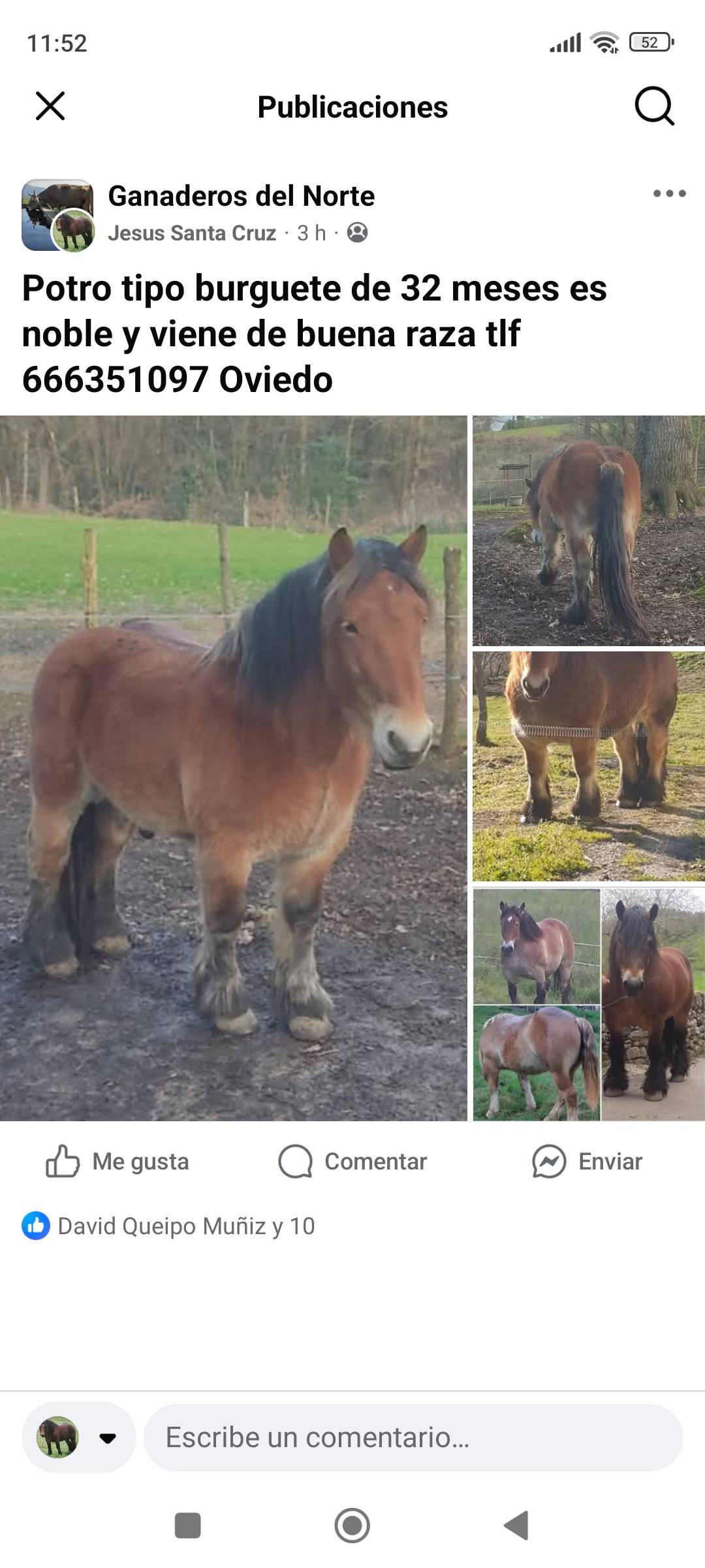 Potro tipo burguete  - imagen 1