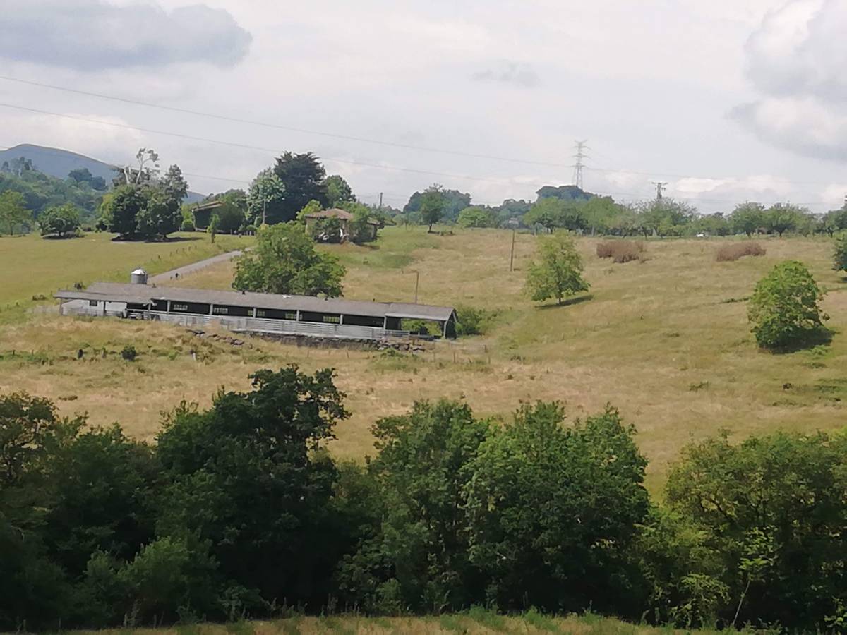 Nave y finca - imagen 1