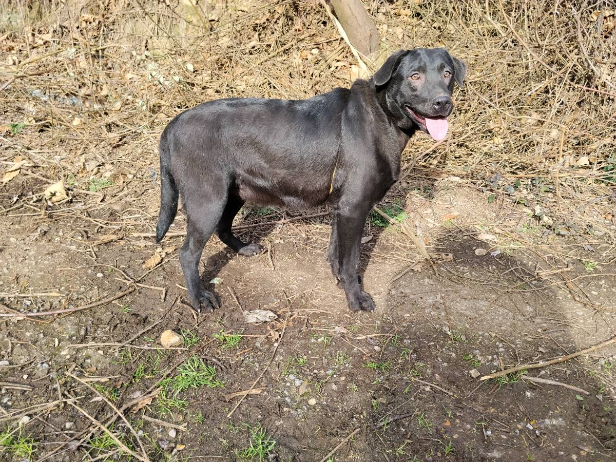 Regalo 10 meses  - imagen 1