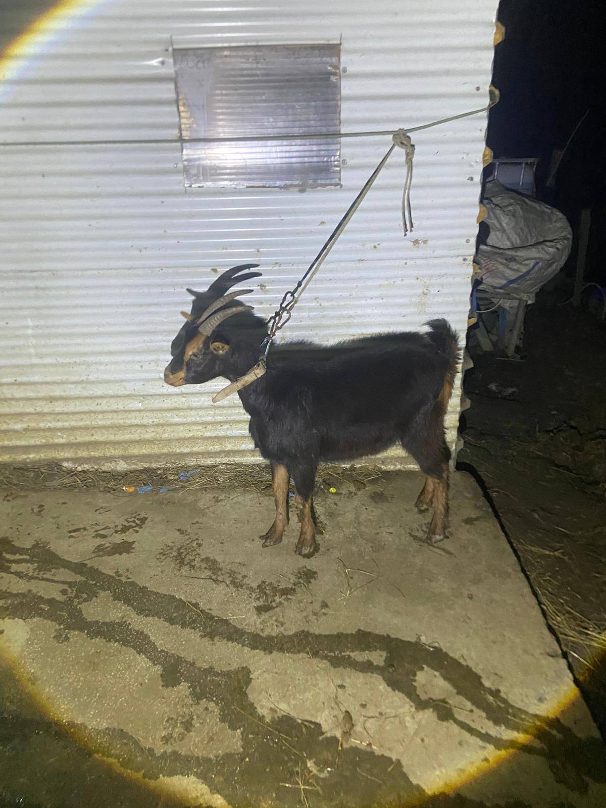 Se venden - imagen 1