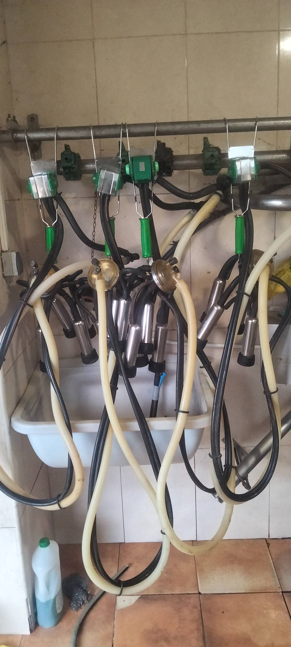 Puntos ordeño  - imagen 1