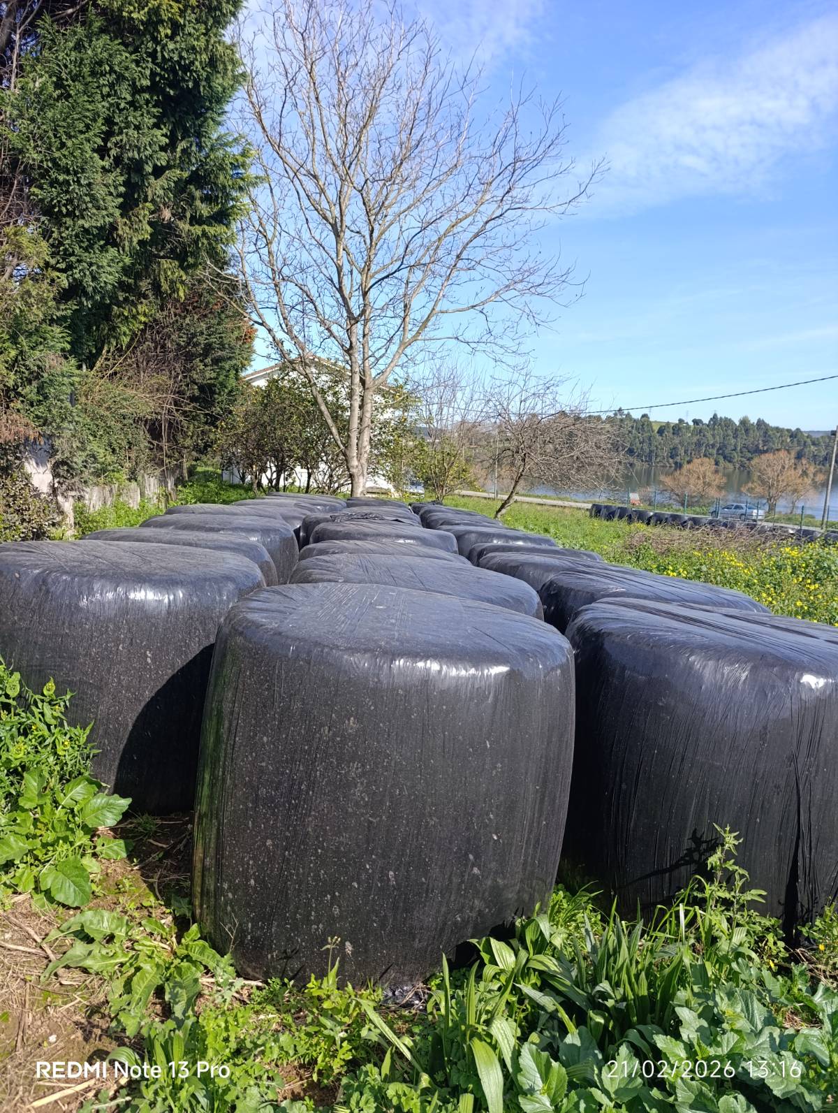 Bolas de silo  - imagen 1