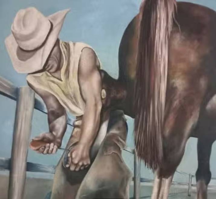 Herrador podólogo equino todo Orense y Galicia - imagen 1