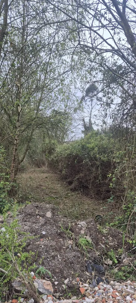 Desbroce  - imagen 1