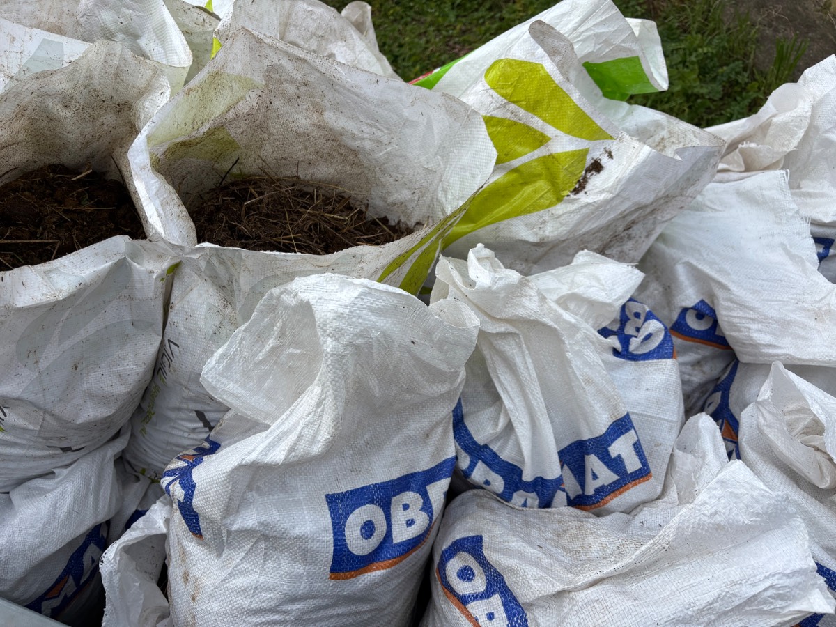 CUCHO DE CABALLO - imagen 1