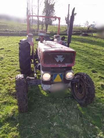 MASSEY FERGUSON - 135